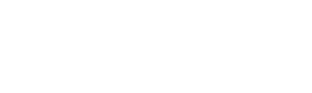 Logo ufficiale Dongfeng