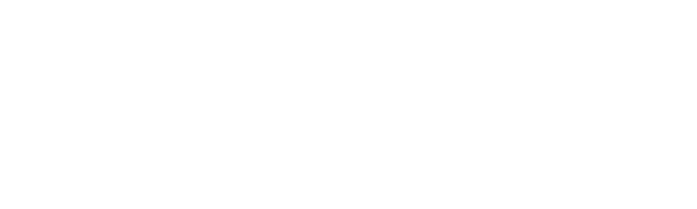 Logo ufficiale DR Automobiles